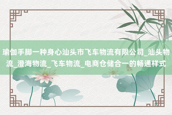 瑜伽手脚一种身心汕头市飞车物流有限公司_汕头物流_澄海物流_飞车物流_电商仓储合一的畅通样式